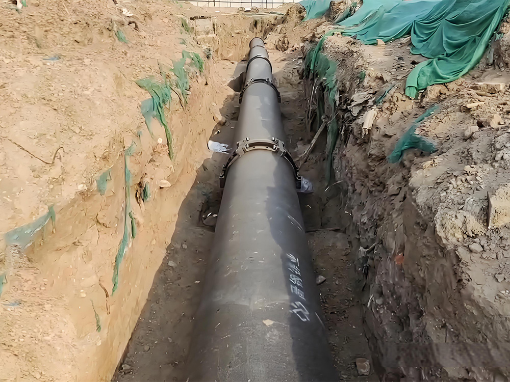 1_0000_8b2adbebc8a3df281f0245e86df49eaf