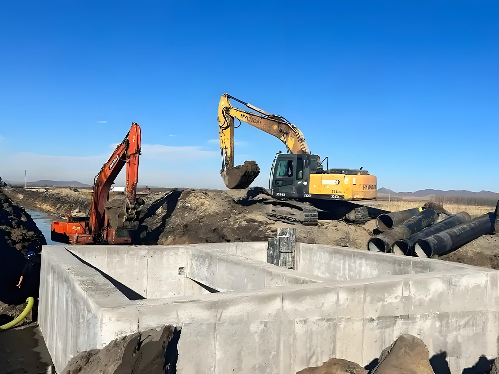 2_0000_6ee83022775576723d559b0fe40629b8