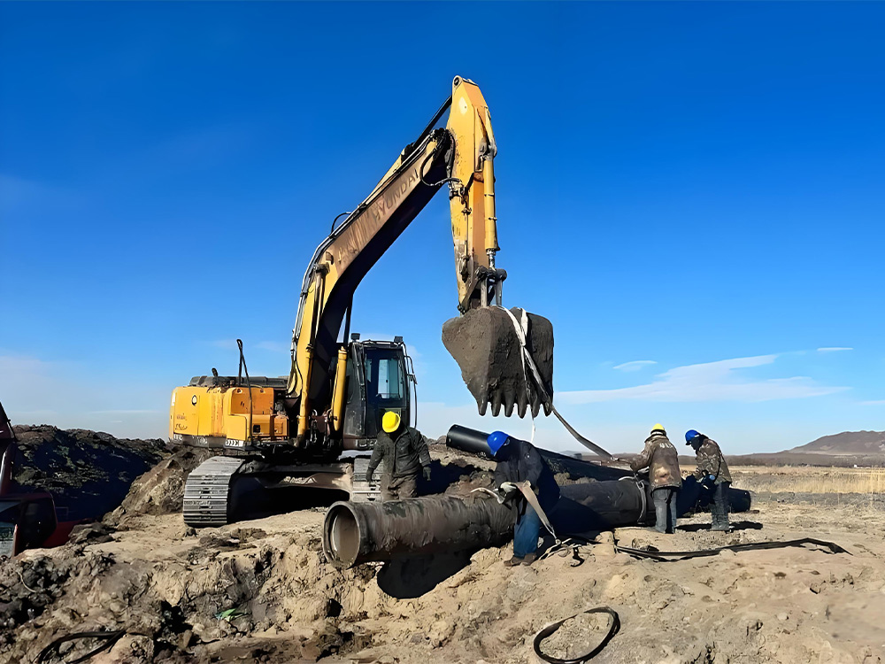 2_0001_21bd4a901071320beaf3afbde98b548c